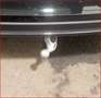 Volkswagen Passat Variant 1.5 eTSI Business Navi AHK 360° Schwarz - thumbnail 10