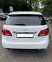 Mercedes-Benz B 220 B -Klasse B 220 CDI / d Weiß - thumbnail 13