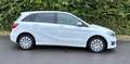Mercedes-Benz B 220 B -Klasse B 220 CDI / d Weiß - thumbnail 3