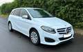 Mercedes-Benz B 220 B -Klasse B 220 CDI / d Weiß - thumbnail 1