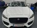 Jaguar F-Pace 20d AWD R-Sport Aut. * SOFORT FINANZIERUNG & EI... Weiß - thumbnail 8