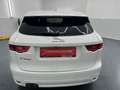 Jaguar F-Pace 20d AWD R-Sport Aut. * SOFORT FINANZIERUNG & EI... Weiß - thumbnail 4