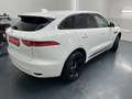 Jaguar F-Pace 20d AWD R-Sport Aut. * SOFORT FINANZIERUNG & EI... Weiß - thumbnail 5