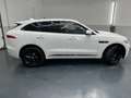 Jaguar F-Pace 20d AWD R-Sport Aut. * SOFORT FINANZIERUNG & EI... Weiß - thumbnail 6
