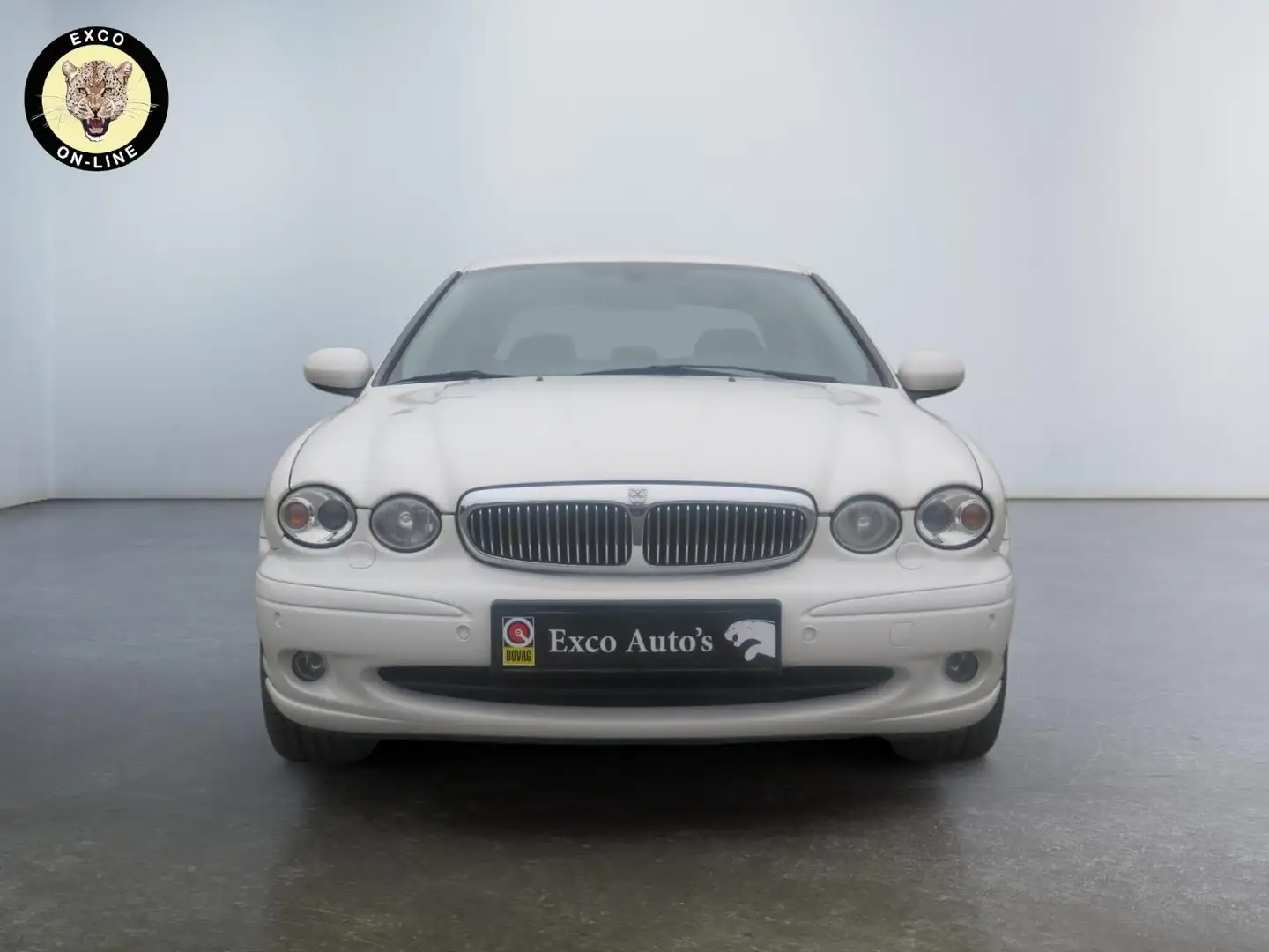 Jaguar X-Type 3.0 V6 Executive Blanc - 2