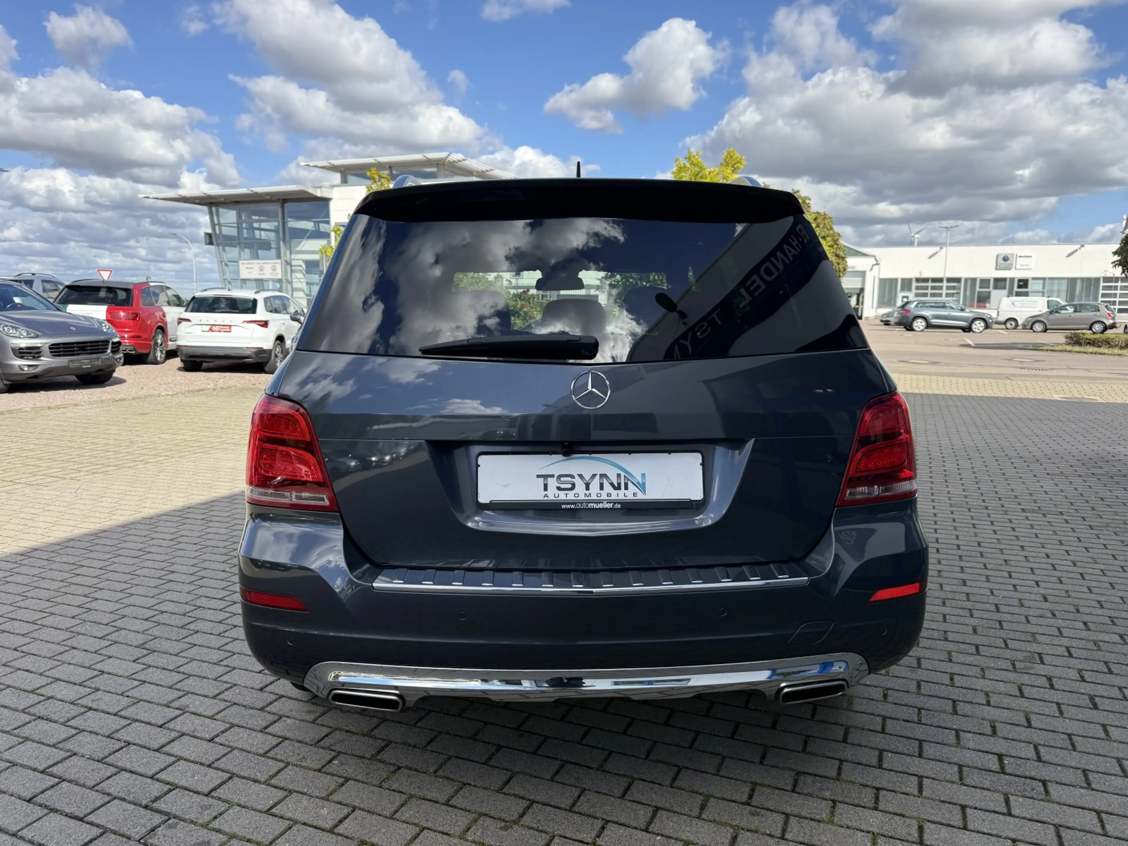 Mercedes-Benz G LK 250 CDI 4MATIC Sport — photo 8