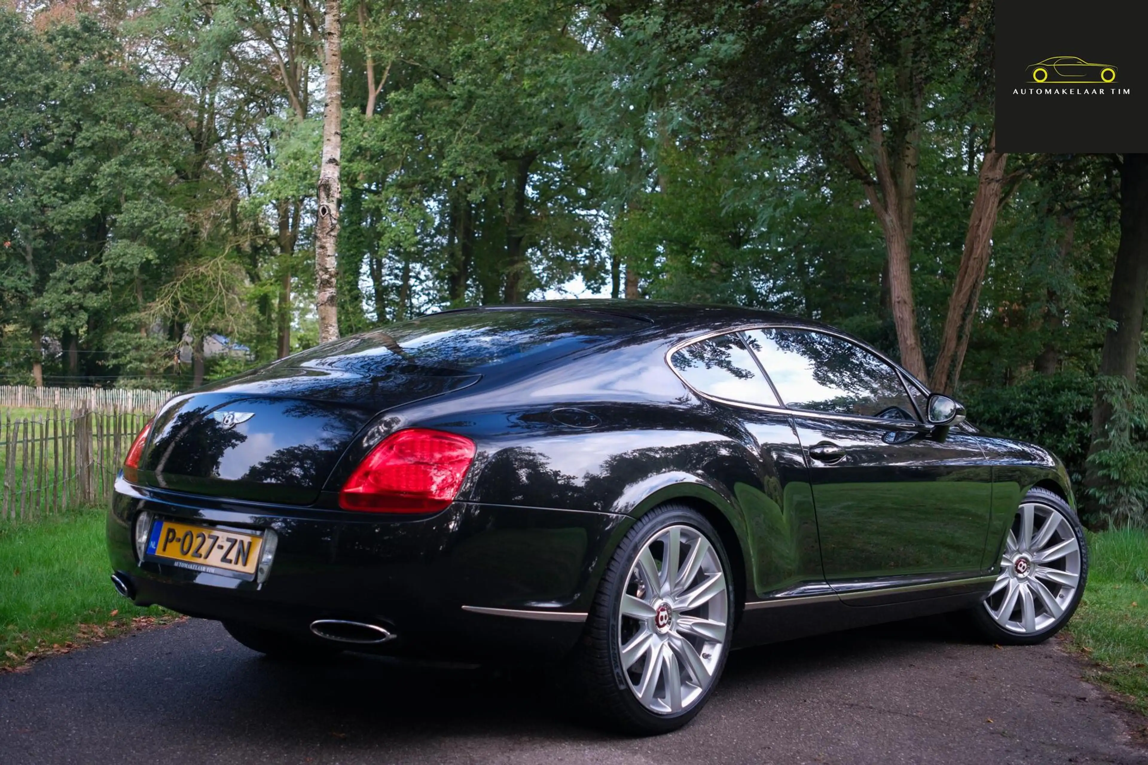 Bentley Continental GT 6.0 W12 Speed — photo 10