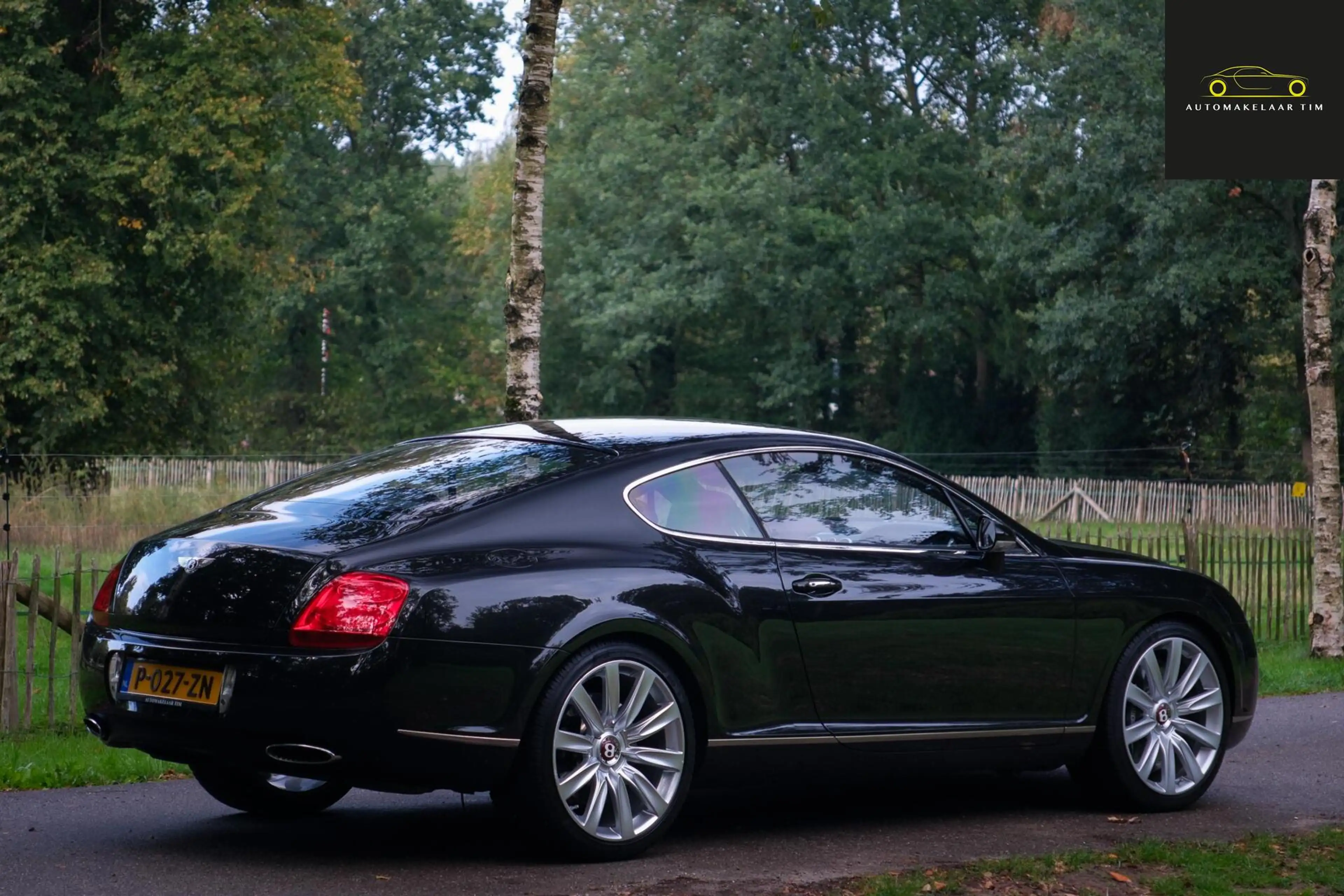 Bentley Continental GT 6.0 W12 Speed — photo 3