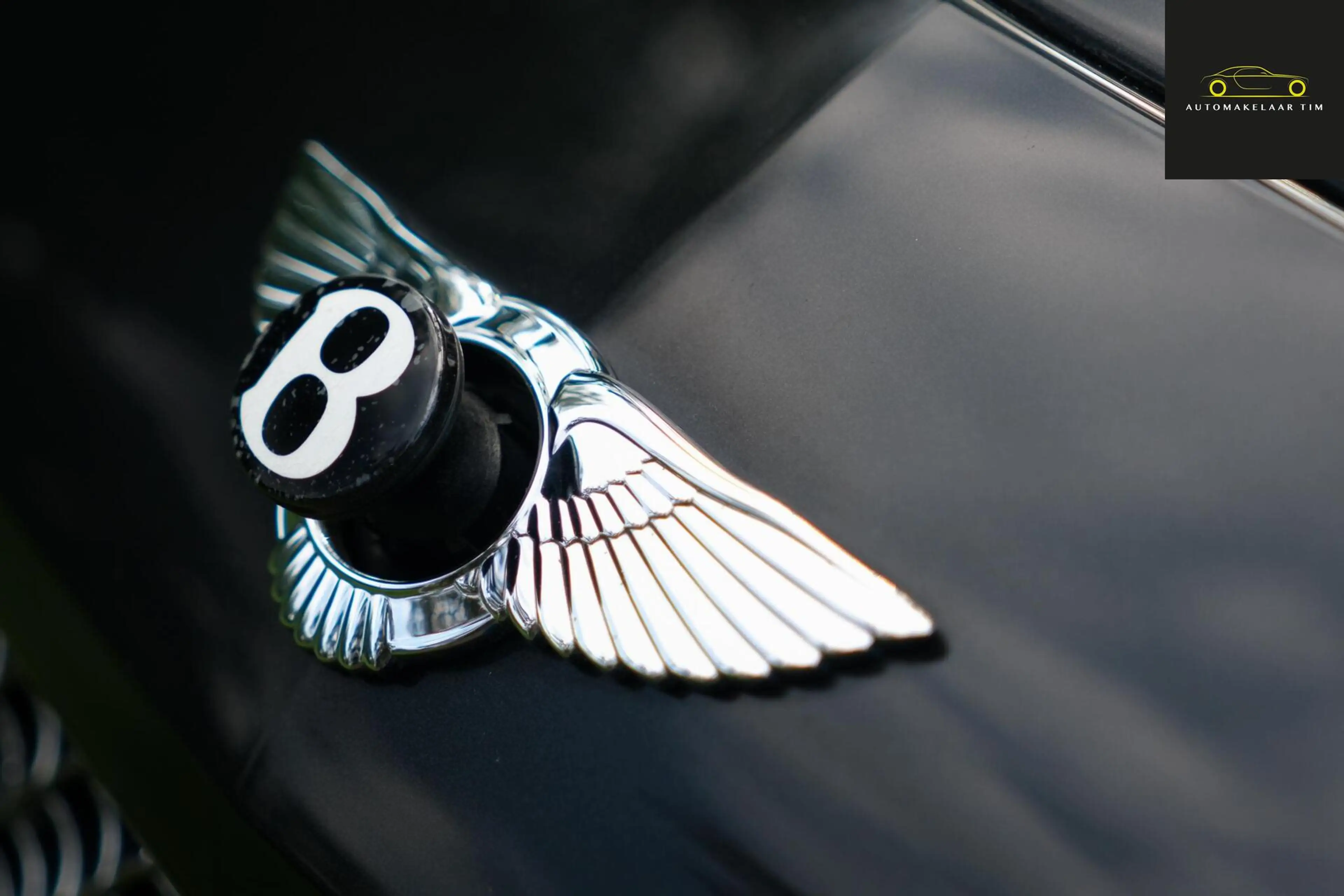 Bentley Continental GT 6.0 W12 Speed — photo 25