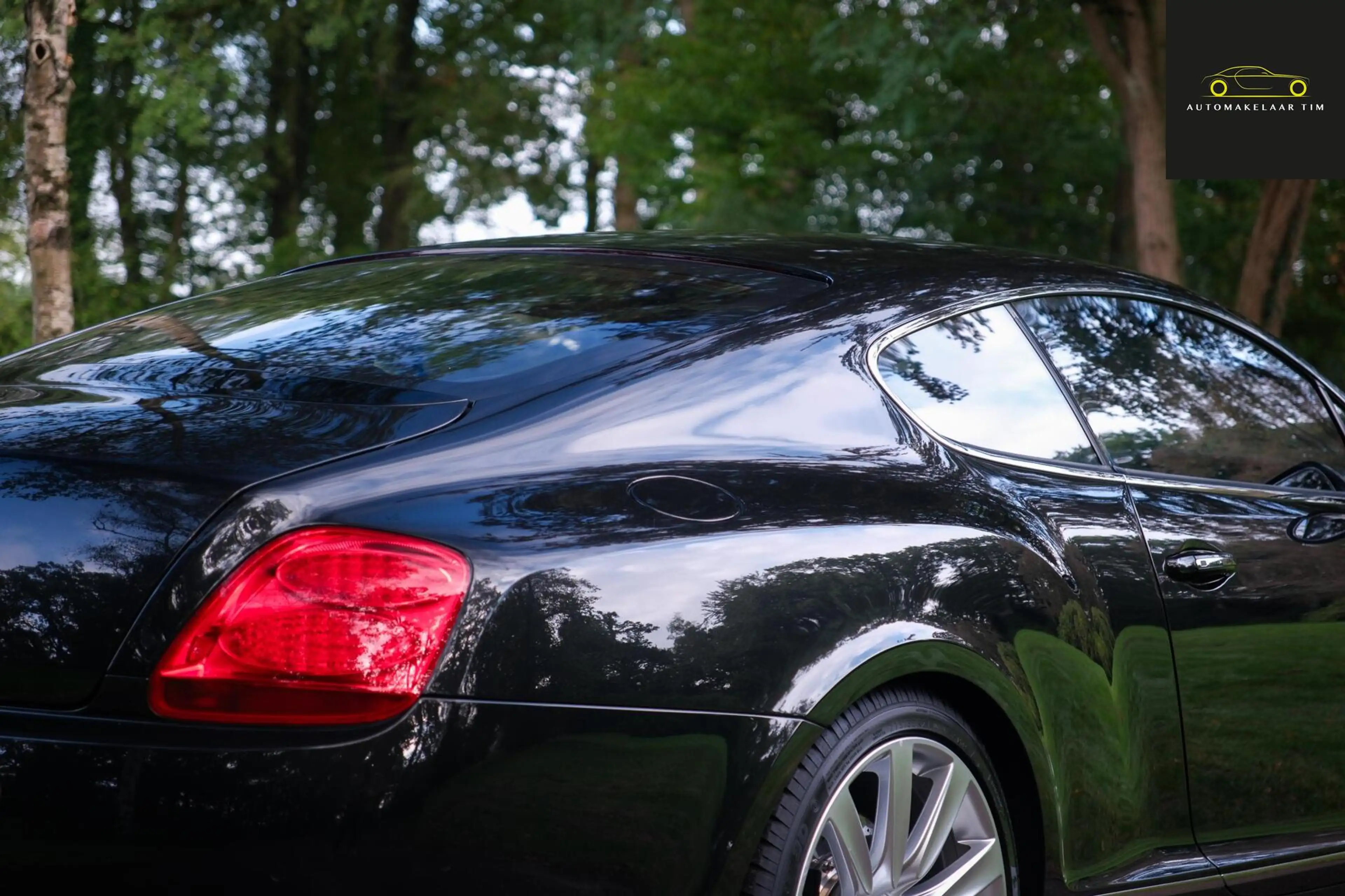 Bentley Continental GT 6.0 W12 Speed — photo 34