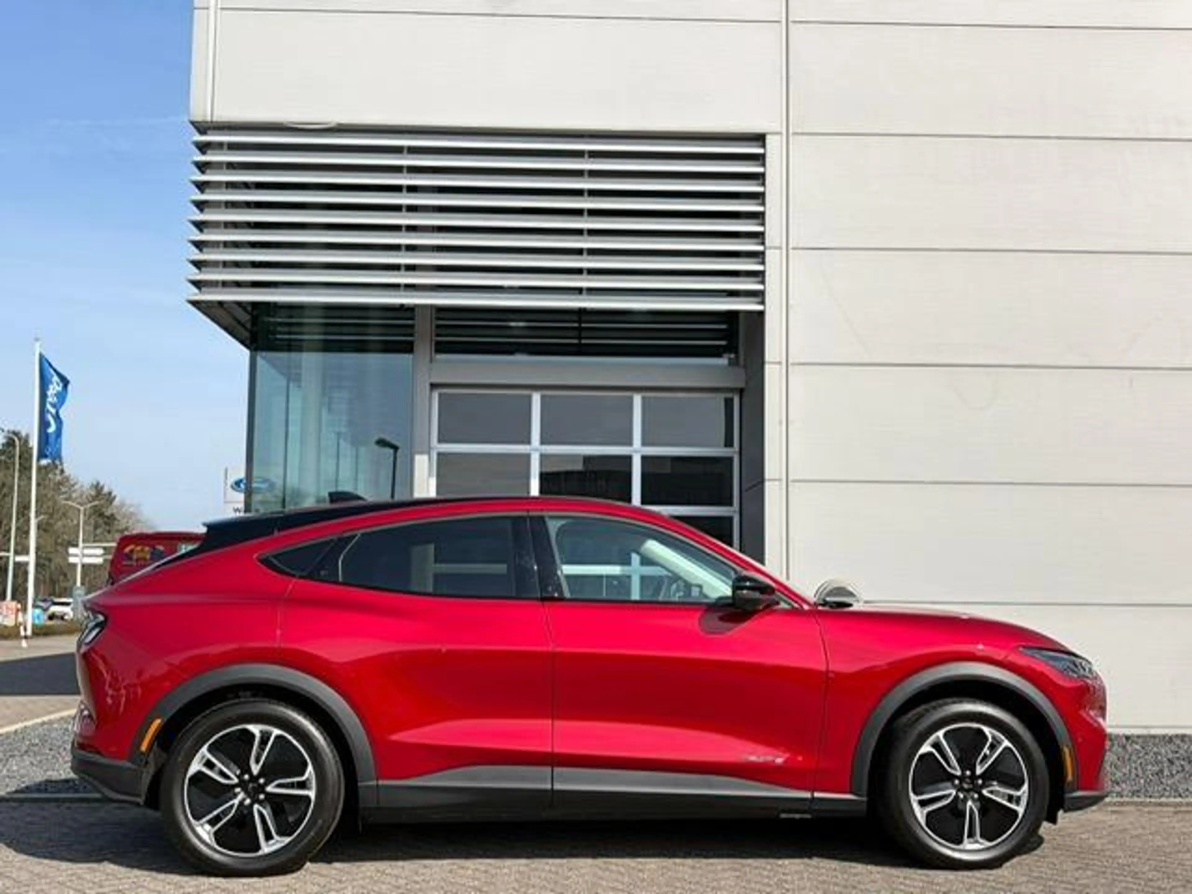 Ford Mustang Mach-E 75kWh 269pk Automaat | Navigatie | Leder | — photo 4