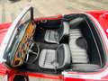 Triumph TR4 1964 met overdrive Rouge - thumbnail 22