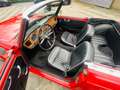 Triumph TR4 1964 met overdrive Rouge - thumbnail 32