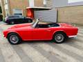 Triumph TR4 1964 met overdrive Rouge - thumbnail 13