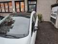 Opel Corsa 1.4 90CV aut. 5 porte ADATTATA MULTI DISABILITA' Blanc - thumbnail 5