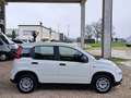 Fiat New Panda 1200 69CV ""Panda"" EasyPower 5 Porte *GPL* Km. 0 Weiß - thumbnail 15