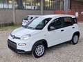 Fiat New Panda 1200 69CV ""Panda"" EasyPower 5 Porte *GPL* Km. 0 Bílá - thumbnail 1