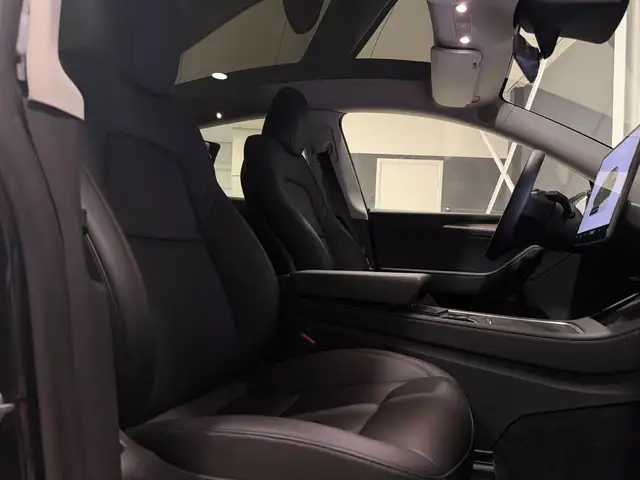 Tesla Model Y view 25