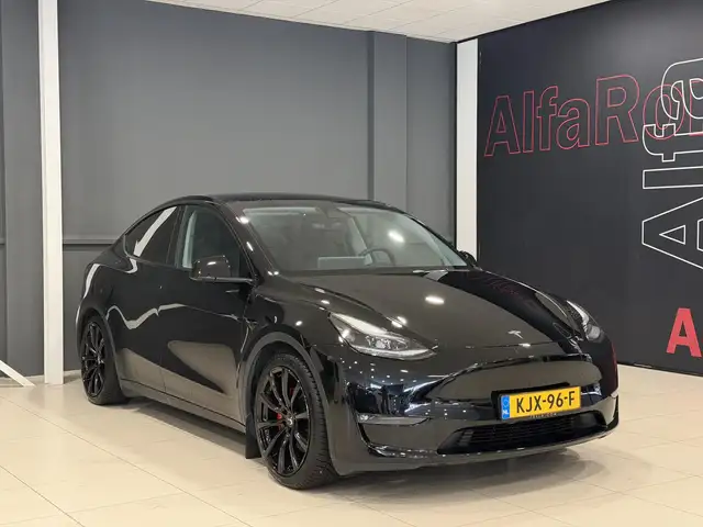 Tesla Model Y view 18
