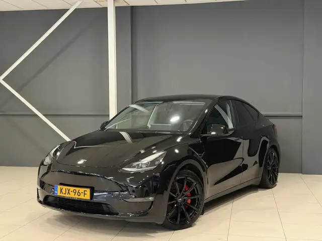 Tesla Model Y view 10