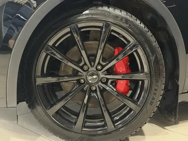 Tesla Model Y view 12