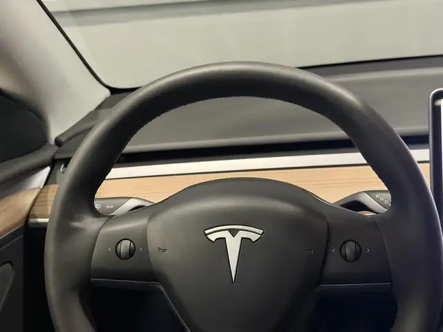 Tesla Model Y view 19
