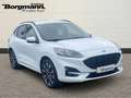 Ford Kuga Plug-In Hybrid ST-Line X 2.5 Rückfahrkamera - Navi Blanc - thumbnail 3