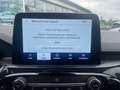 Ford Kuga Plug-In Hybrid ST-Line X 2.5 Rückfahrkamera - Navi Blanc - thumbnail 17