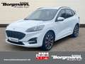 Ford Kuga Plug-In Hybrid ST-Line X 2.5 Rückfahrkamera - Navi Blanc - thumbnail 1