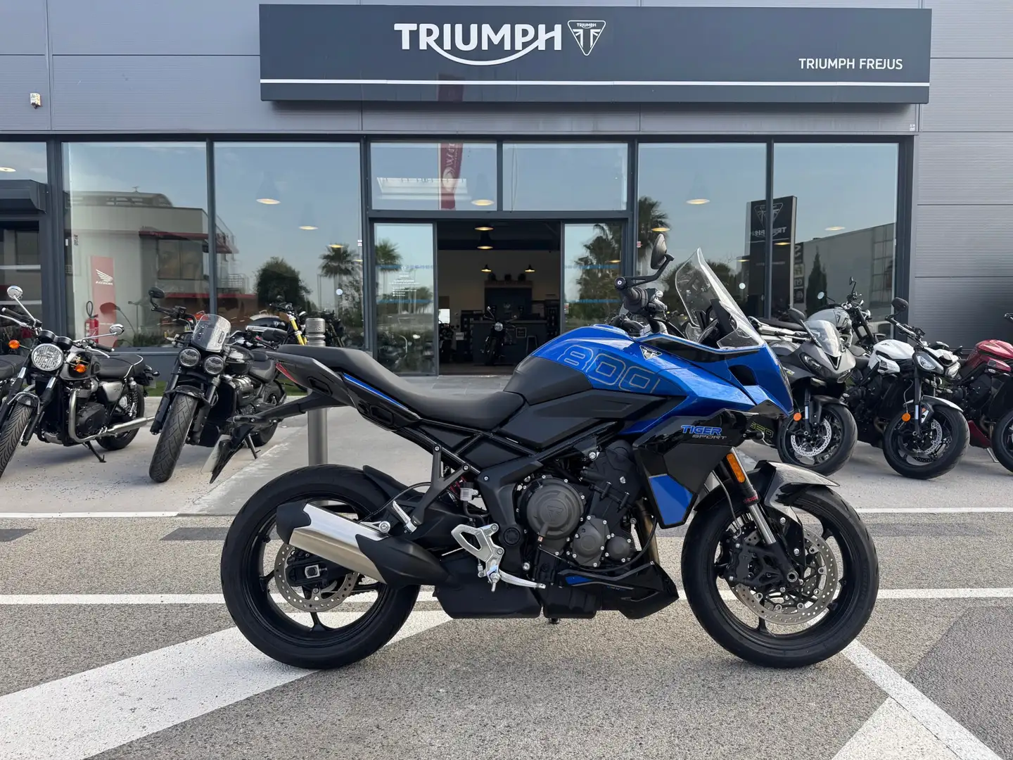Triumph Tiger Sport - 1