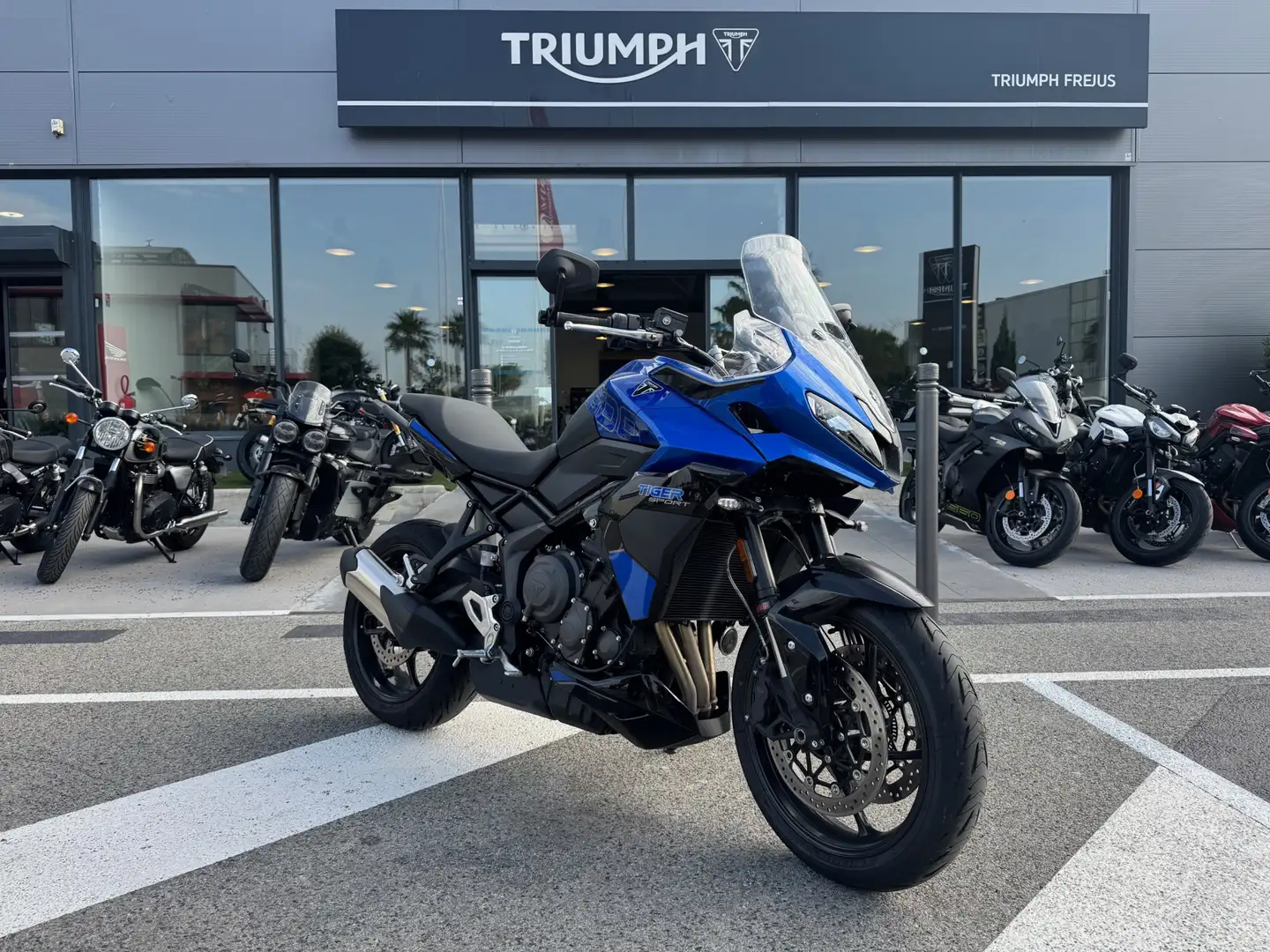 Triumph Tiger Sport - 2