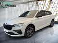 Skoda Scala -33% 1.0 TSI BVA 115CV+T.PANO+CAM+OPTIONS Beige - thumbnail 2