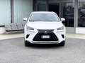 Lexus NX 300 300 2.5 Hybrid 155CV 4WD E6 - 2018 Weiß - thumbnail 2