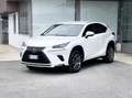 Lexus NX 300 300 2.5 Hybrid 155CV 4WD E6 - 2018 Weiß - thumbnail 3