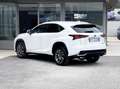 Lexus NX 300 300 2.5 Hybrid 155CV 4WD E6 - 2018 Weiß - thumbnail 4