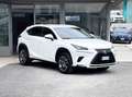 Lexus NX 300 300 2.5 Hybrid 155CV 4WD E6 - 2018 Weiß - thumbnail 1