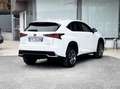 Lexus NX 300 300 2.5 Hybrid 155CV 4WD E6 - 2018 Weiß - thumbnail 5