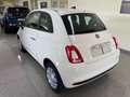 Fiat 500 1.0 Hybrid Cult SCONTO "PROMO PLUS" Bianco - thumbnail 6