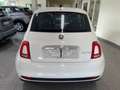 Fiat 500 1.0 Hybrid Cult SCONTO "PROMO PLUS" Bianco - thumbnail 7