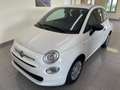 Fiat 500 1.0 Hybrid Cult SCONTO "PROMO PLUS" Bianco - thumbnail 2