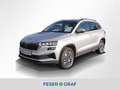 Skoda Karoq 1.0 TSI Tour LED RüKa Smart Link Sitzh. Silber - thumbnail 1