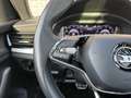Skoda Kamiq 1.5 TSI ACT Business Edition | Panoramadak | Camer Blau - thumbnail 33
