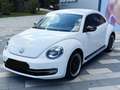 Volkswagen Beetle 2.0 Sport DSG Automatik LED Xenon TOP Zus Weiß - thumbnail 1