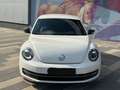 Volkswagen Beetle 2.0 Sport DSG Automatik LED Xenon TOP Zus Weiß - thumbnail 2