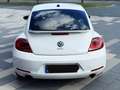 Volkswagen Beetle 2.0 Sport DSG Automatik LED Xenon TOP Zus Weiß - thumbnail 6