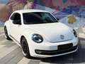 Volkswagen Beetle 2.0 Sport DSG Automatik LED Xenon TOP Zus Weiß - thumbnail 3