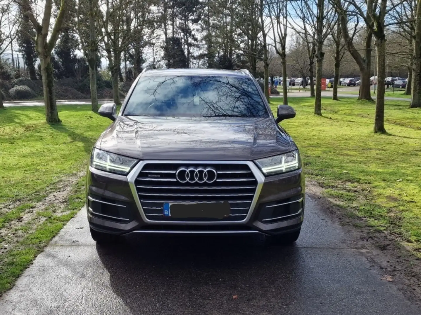 Audi Q7 audi Q7 3.0TDI quattro s.lin+7P/FULL OPTION.Euro 6 Brun - 1