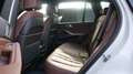 BMW X5 xDrive50e Weiß - thumbnail 5