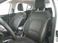 Ford Focus 1.5 EcoBlue Trend Blanco - thumbnail 18