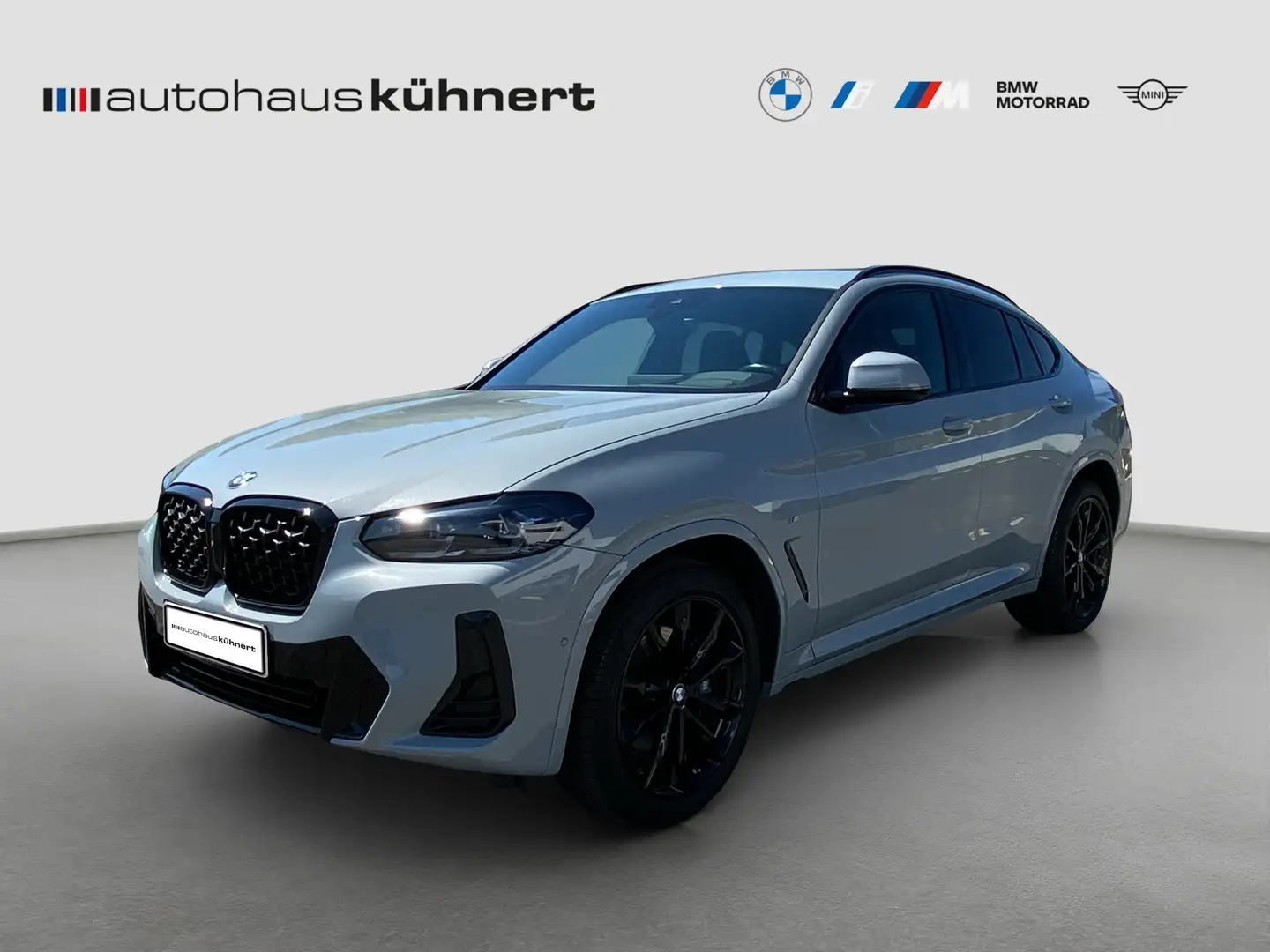 BMW X4 xDrive20d ///M-Sport SAG SpurAss StHzg Grijs - 1